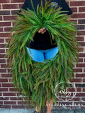 Dark Beadgrass- Medium