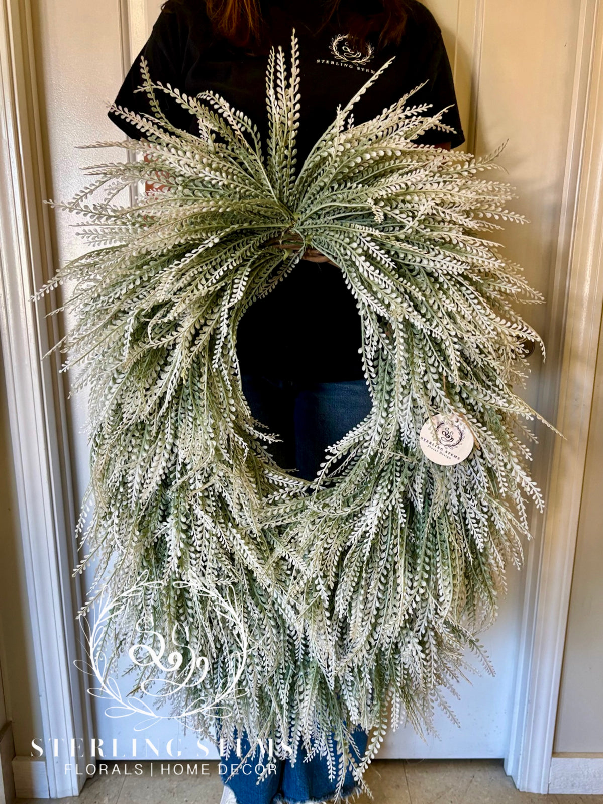 Frosty Beadgrass