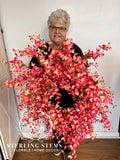 Pink Bloom Wreath