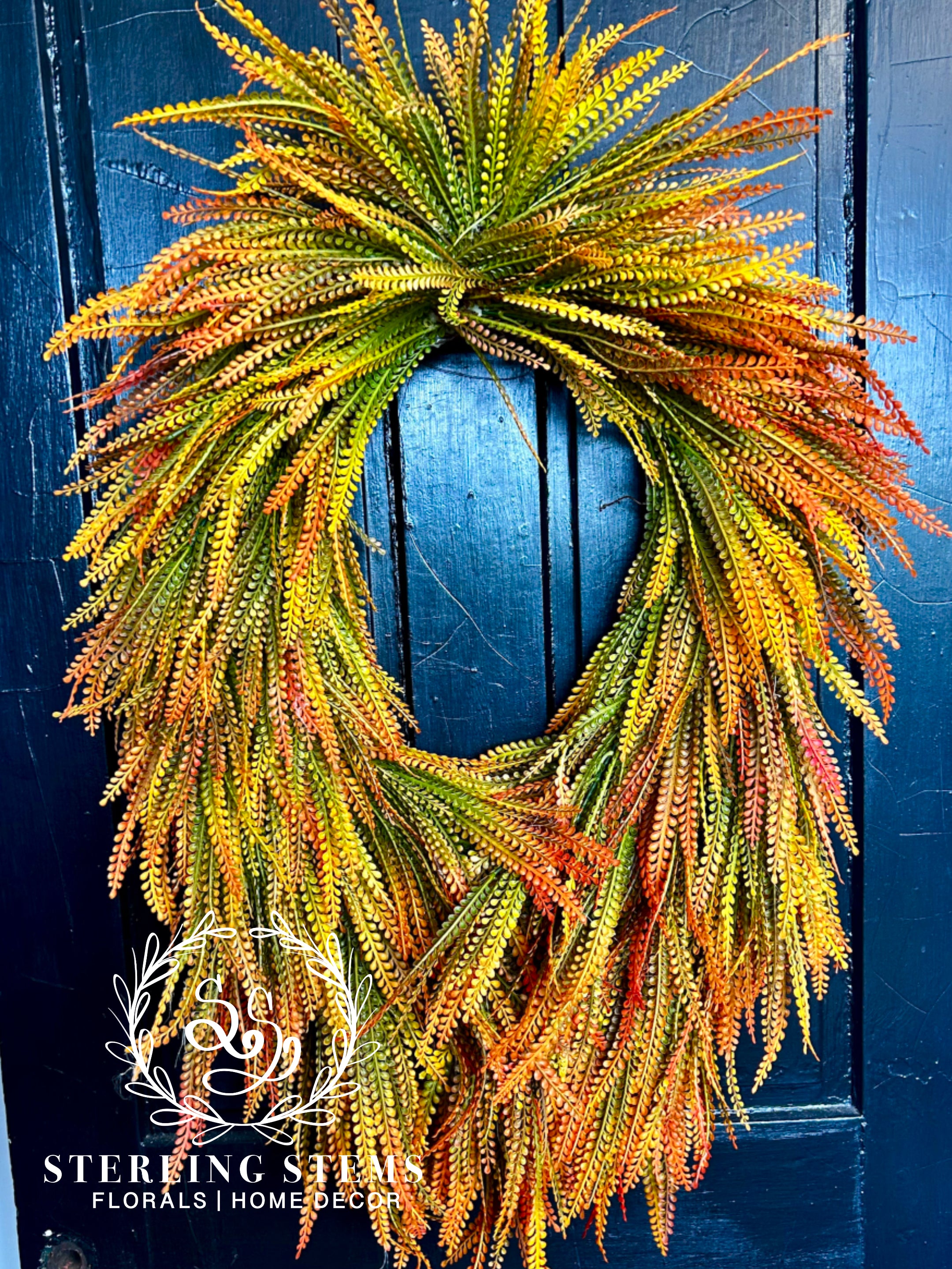Medium Orange Beadgrass