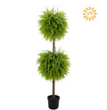 Bead grass Topiaries